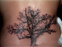 /album/galerie-photos/tatouage-arbre-dos-femme-1-jpg/